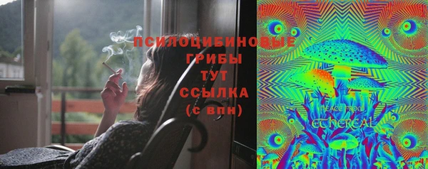 гидра Бугульма