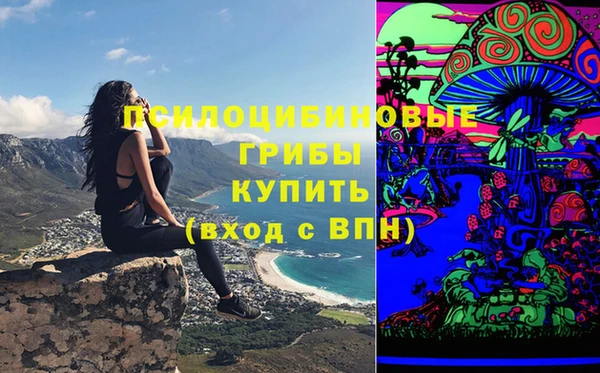 гидра Бугульма