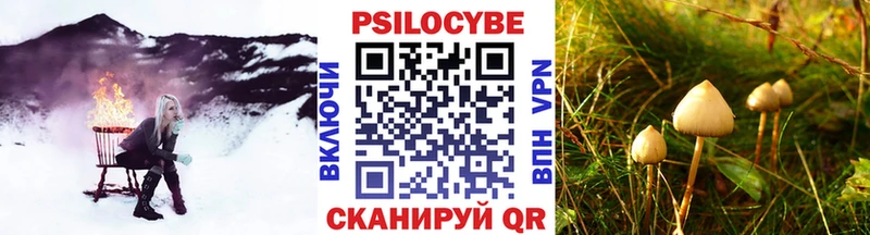 Галлюциногенные грибы MAGIC MUSHROOMS  Староминская 