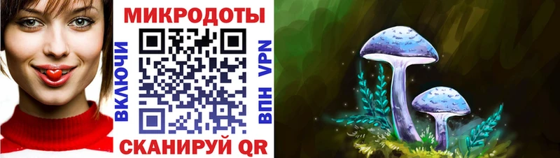 Псилоцибиновые грибы Psilocybine cubensis Староминская